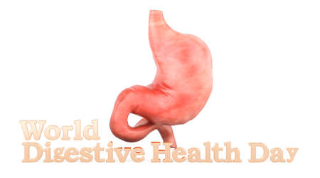 Human stomach with text World Digestive Health Day. 3D rendering isolated on white backgroundの写真素材