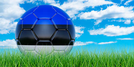 Soccer ball with Estonian flag on the green grass against blue sky, 3D renderingの写真素材