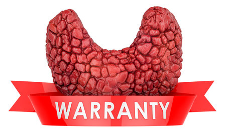Human thyroid warranty concept. 3D rendering isolated on white background
