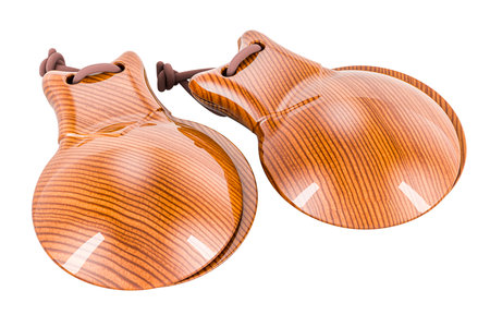 Castanets, 3d rendering isolated on white backgroundの写真素材