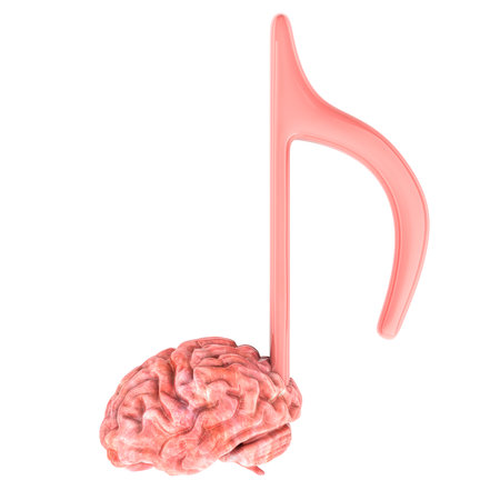 Music note with brain, 3D rendering isolated on white backgroundの写真素材