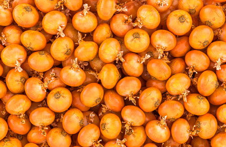 Onions with realistic texture background, wallpaper. 3D renderingの写真素材