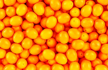 Oranges background, wallpaper. 3D renderingの写真素材