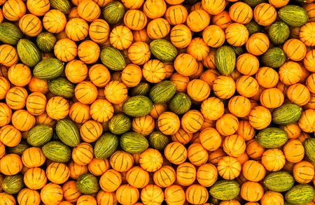 Melons background, wallpaper. 3D renderingの写真素材