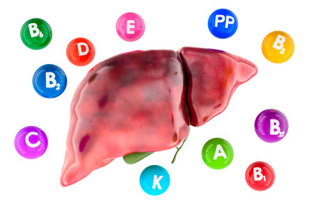 Human liver with different vitamins. Vitamins for liver health, concept. 3D rendering isolated on white backgroundの写真素材