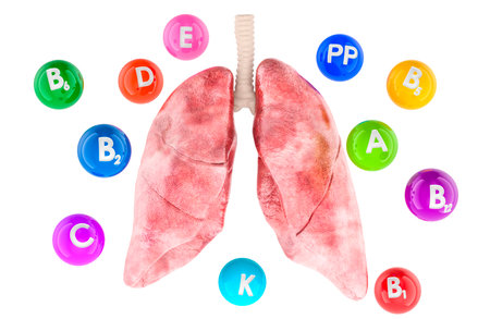 Human lungs with different vitamins. 3D rendering isolated on white backgroundの写真素材
