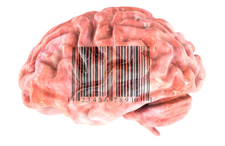 Brain with barcode, 3D rendering isolated on white backgroundの写真素材