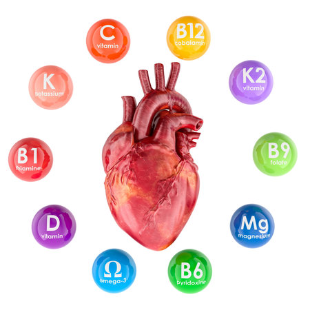Human heart with vitamins and minerals essential for cardiovascular health. 3D rendering isolated on white backgroundの写真素材