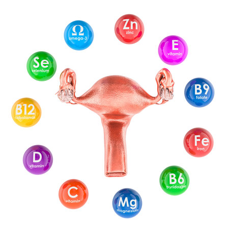 Uterus with vitamins and minerals essential for female reproductive health. 3D rendering isolated on white backgroundの写真素材