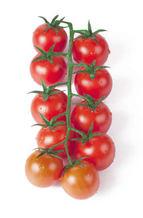 Cherry tomatoes on a green branch with leavesの写真素材