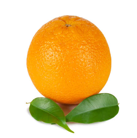 Orange with two green leaves isolated on white backgroundの写真素材