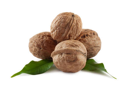 Walnuts are a bunch of illuminated from behind isolated on white backgroundの写真素材