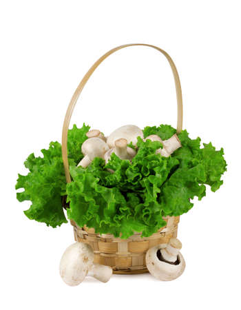 Mushrooms in a basket with lettuce isolated on white backgroundの写真素材
