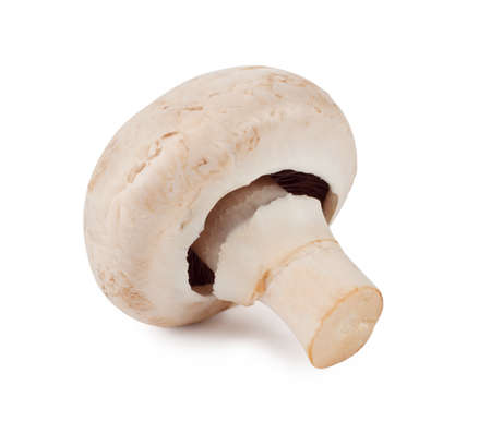Raw mushroom isolated on a white backgroundの写真素材