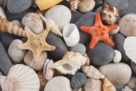 Background with yellow and red stars on the sea shells and stonesの写真素材
