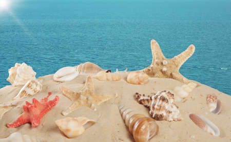 Starfish and seashells on the sandy beach on sea backgroundの写真素材