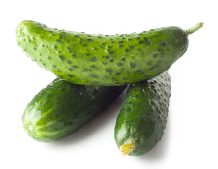 Three fresh cucumber isolated on white background.の写真素材