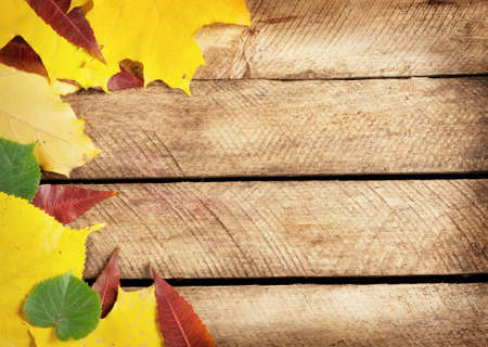 Rough striped background with autumn dry leaves