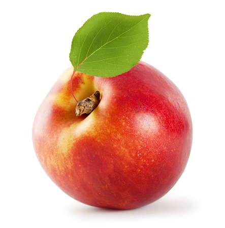 Juicy nectarine with leaf isolated on white backgroundの写真素材