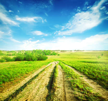 Dirt a country road in the green fieldの写真素材