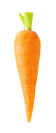 Orange carrots with a tail isolated on white backgroundの写真素材