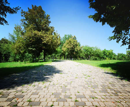 Stone road in green park under blue skyの写真素材