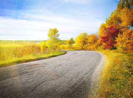 Country road winding among yellow autumn trees under the bright sunの写真素材