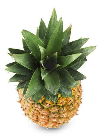 Pineapple with bright green leaves isolated on white background
