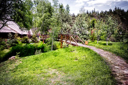 Path and wooden bridge in the park with green treesの写真素材