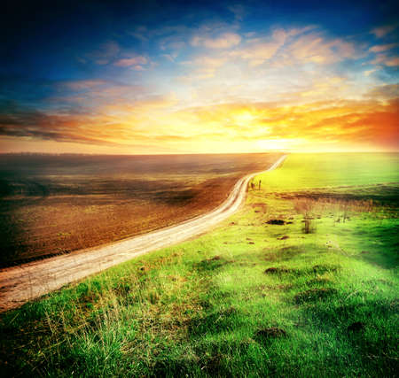 Road between the plowed and sown fields in the direction of setting sunの写真素材
