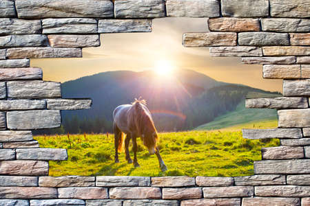 Type in the pasture with a horse through a hole in the wallの写真素材