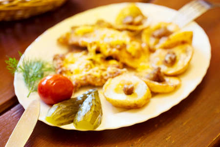 Pickled cucumbers on plate with food taken with blurred backgroundの写真素材