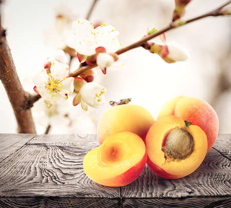 Apricots lie on wooden table against background apricot flowersの写真素材