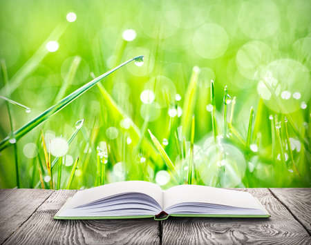 Open book on table on background of grassの写真素材