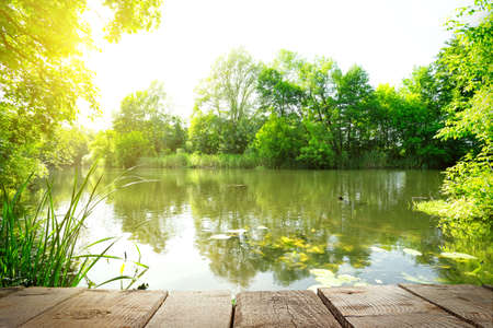 Jetty on lake with green shores