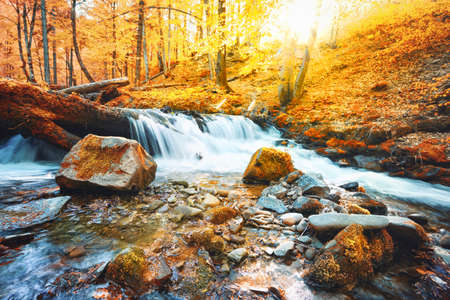 Waterfall on the river in forest in autumnの写真素材