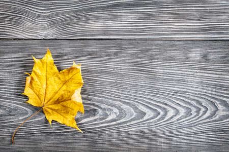Wooden background with maple leaf on topの写真素材