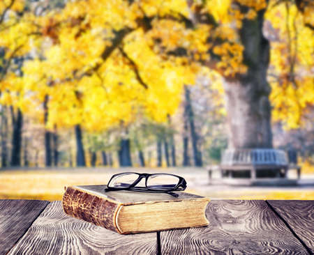 Old book and glasses on table against the background of  bench in autumn parkの写真素材