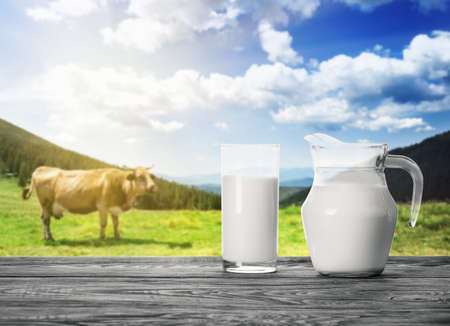 Jug and a glass of milkの写真素材