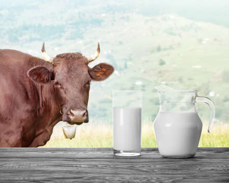 Jug and a glass of milk against background of landscape with cowの写真素材