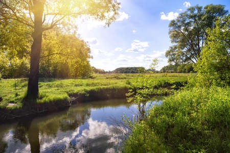 Narrow river with a field and green trees on the shore. Summer. The concept of freedom and travel.の写真素材