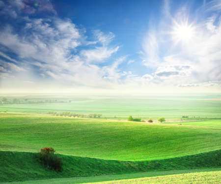 Wavy field with a green grassの写真素材