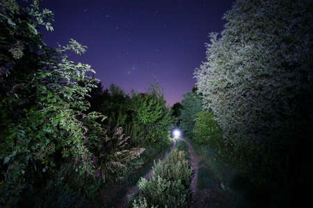 Road leading to the light under the starry sky