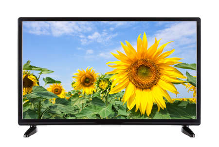 Flat modern TV with sunflower on the screenの写真素材