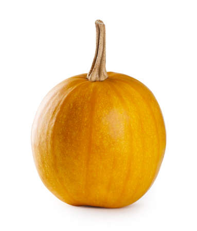 Ripe autumn pumpkinの写真素材