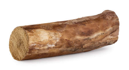 Log without bark lying horizontallyの写真素材