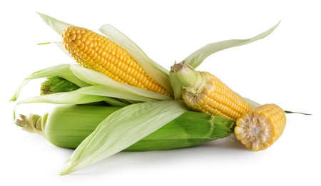 Mature fresh corn with green leaves isolated on white backgroundの写真素材