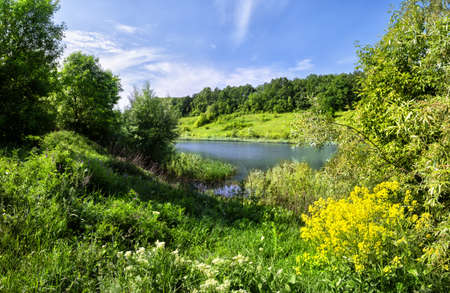 River bank with yellow flowers and a green grassの写真素材