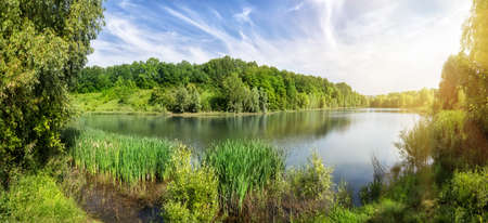 Bend of the river with green trees on the shore under the brightの写真素材
