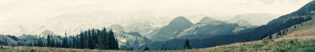 View from the plain to the mountains. Summer landscape. Panorama. Toningの写真素材